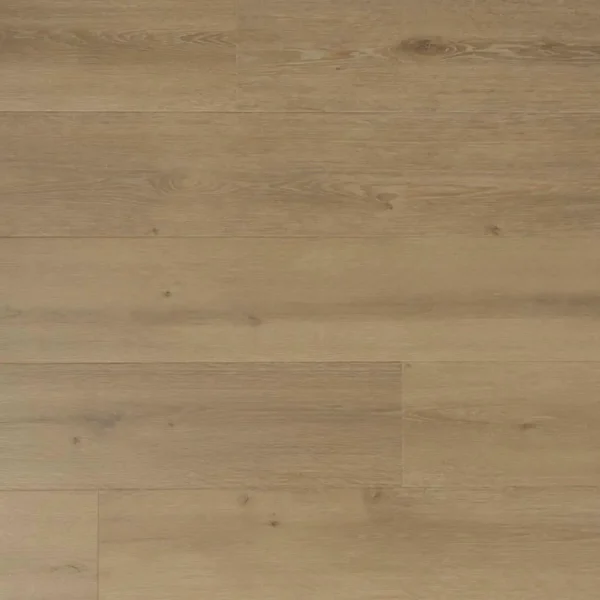 DOUWES DEKKER - SOLIDE PLANK LAURIER