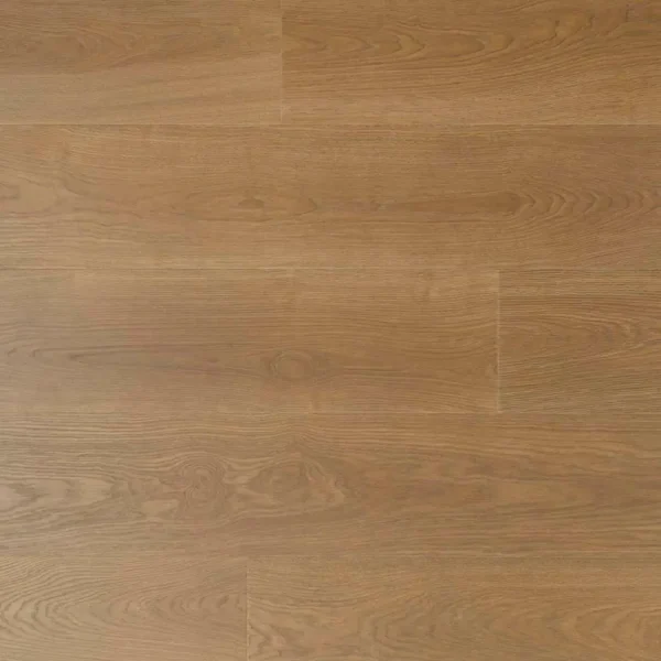 DOUWES DEKKER - SOLIDE PLANK SALIE