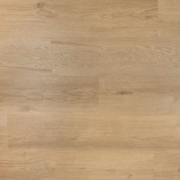 DOUWES DEKKER - RIANTE PLANK GEMBERKOEK