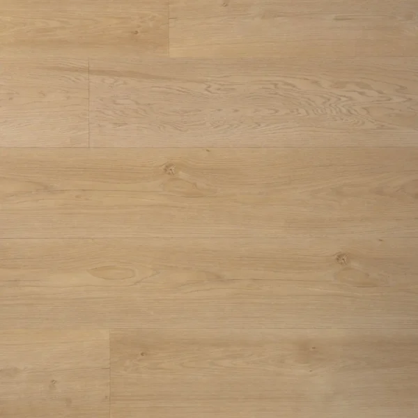 DOUWES DEKKER - RIANTE PLANK BOTERKOEK
