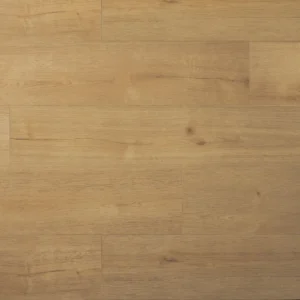 DOUWES DEKKER - PLANK KLETSKOP