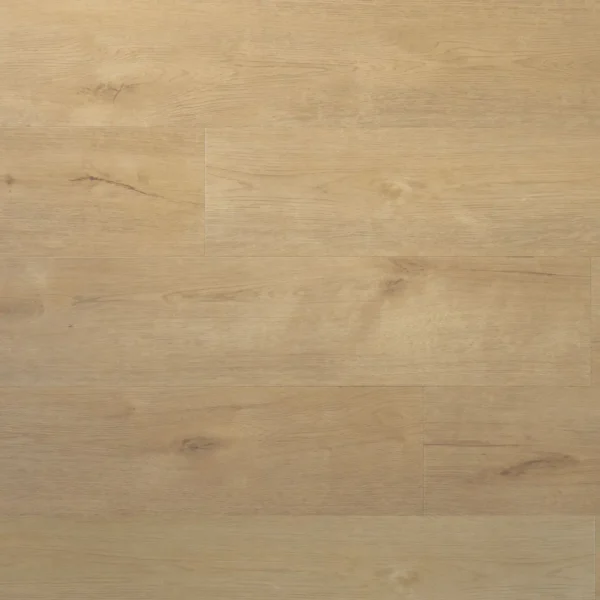 DOUWES DEKKER - PLANK SPRITS