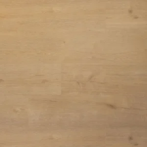 DOUWES DEKKER - PLANK BISCUIT