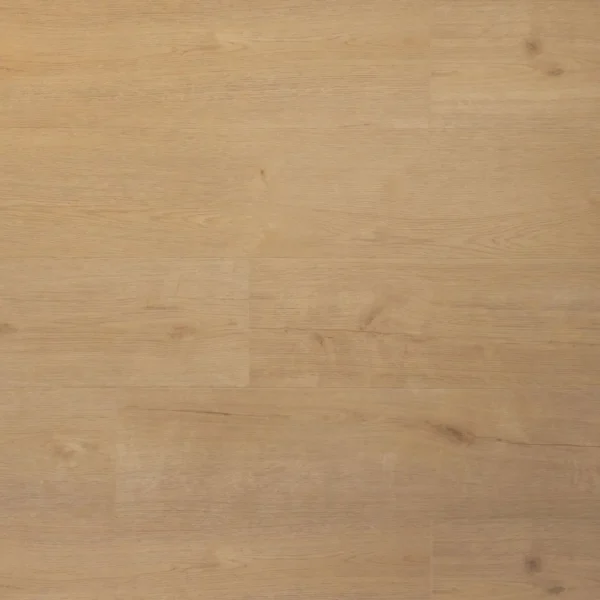 DOUWES DEKKER - PLANK BISCUIT