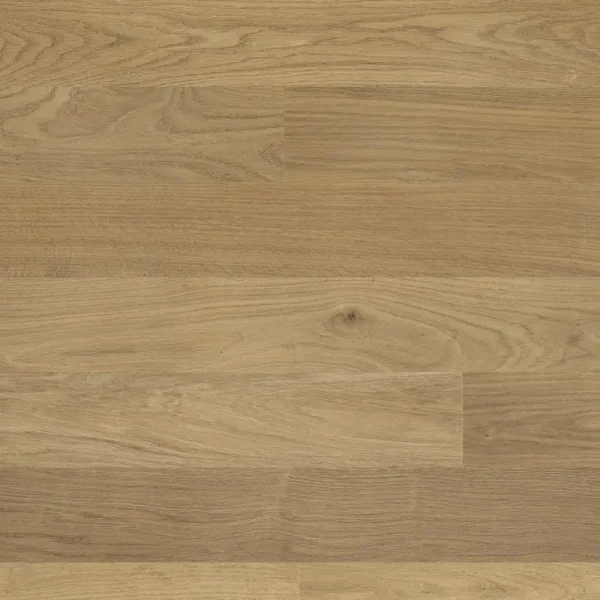 DOUWES DEKKER -  PLANK KANEEL