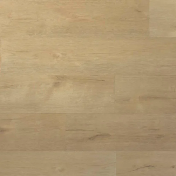 DOUWES DEKKER - SPC PLANK SPRITS
