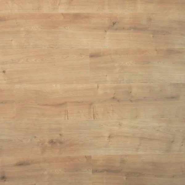 DOUWES DEKKER - PLANK SAFFRAAN