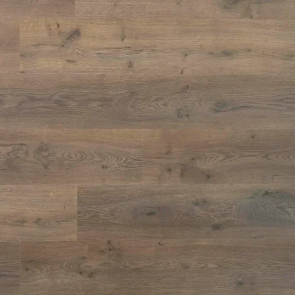 DOUWES DEKKER - PLANK DILLE