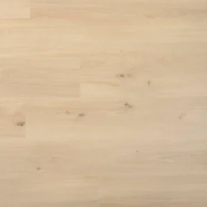 DOUWES DEKKER - PLANK DRAGON