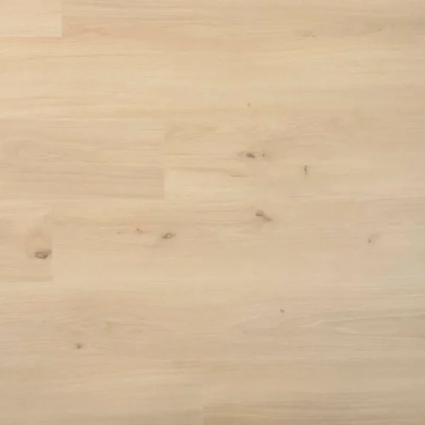 DOUWES DEKKER - PLANK DRAGON