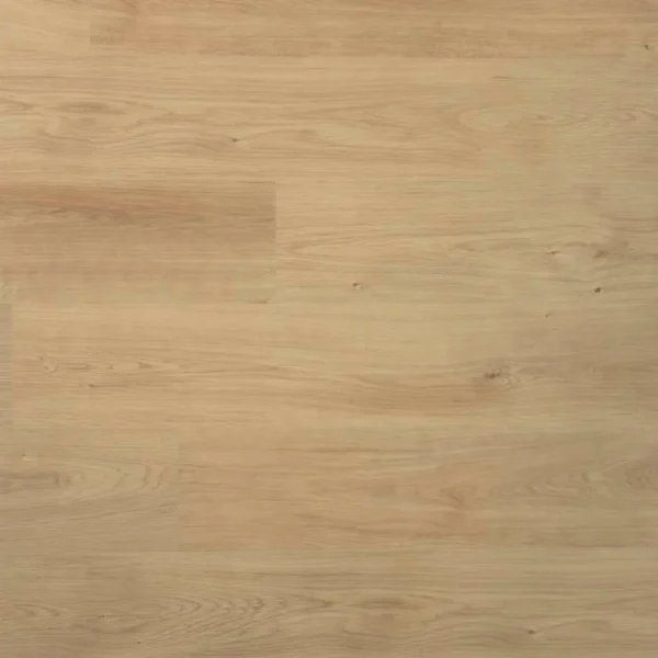 DOUWES DEKKER - PLANK NOOTMUSKAAT
