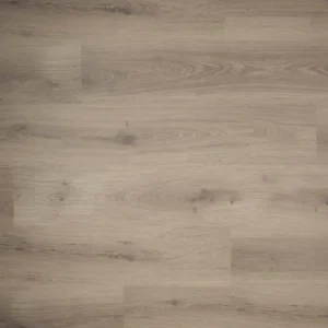 DOUWES DEKKER - PLANK TIJM