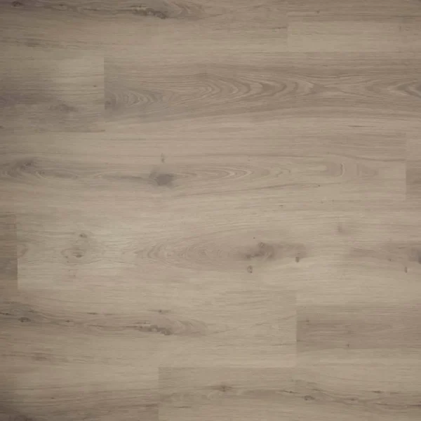 DOUWES DEKKER - PLANK TIJM