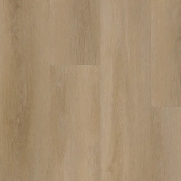 BELAKOS - Attico 810