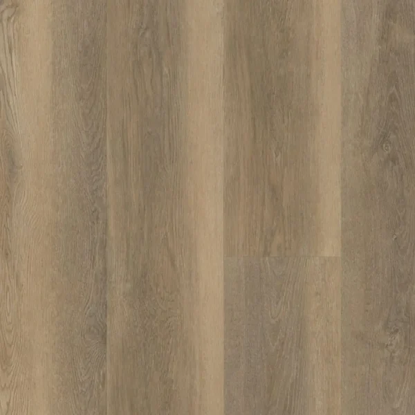 BELAKOS - Palazzo 250