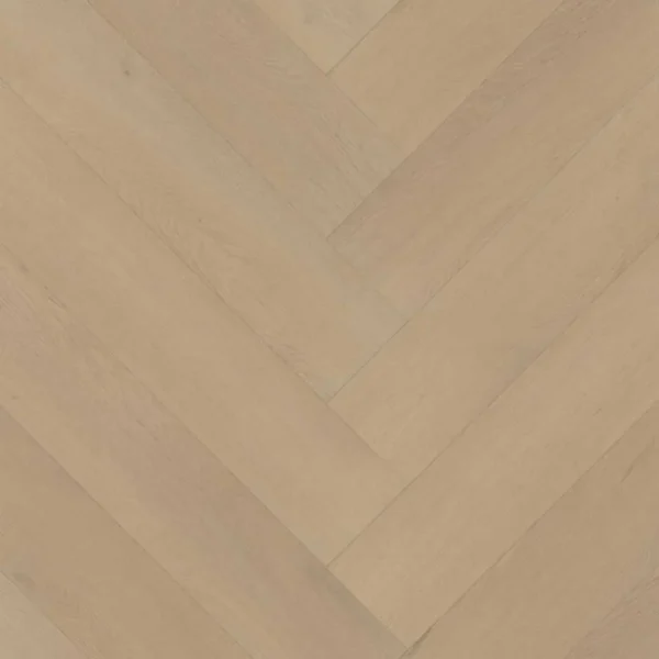 BELAKOS - Palazzo visgraat XL 77