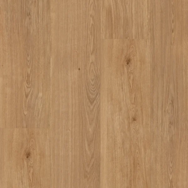 FLOORIFY - XL PLANKS CLICK - TOFFEE
