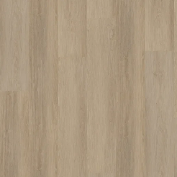 Hoomline Briljant Fresia 0015