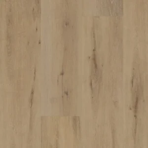 BELAKOS - Attico 800
